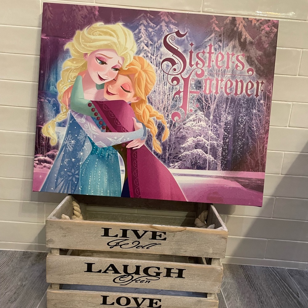 Disney’s Anna & Elsa Canvas 16x20 print